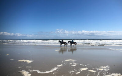 St-augustine-florida-horses-beach